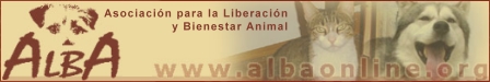 Banner ALBA